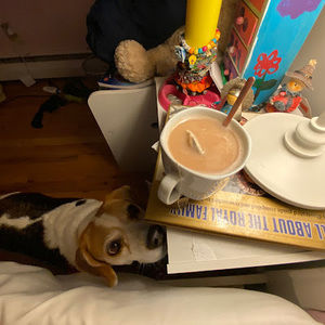 Meet your Posher, Natalie